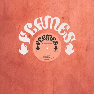 The Revolutionaries: The Revolutionaries: Meditation In Dub