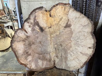 Baumscheibe, Holzscheibe, Tischplatte, ca. 67x50x5cm