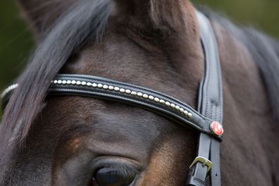 Kieffer Sitrnband Ultrasoft