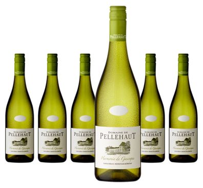 6 x Domaine De Pellehaut Harmonie De Gascogne Blanc – 2024