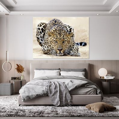 Leinwandbild Tiger Tiere Natur Leinwand Bilder Wanddeko Wohnzimmer Schlafzimmer