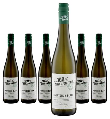 6 x Für mich 100% Saale-Unstrut Sauvignon Blanc trocken – 2024