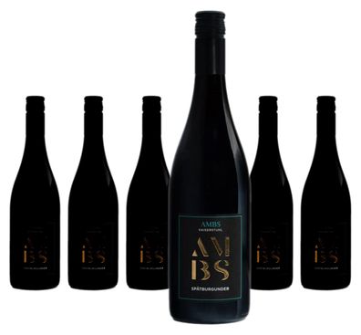 6 x Ambs Spätburgunder Alte Reben trocken – 2023