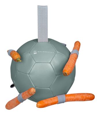 Karotten-Spielball
