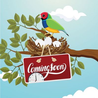 Viewsonic LD-MK-001 Modulatorenzubehör