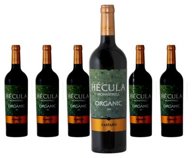 6 x Bodegas Castaño Hécula – 2023