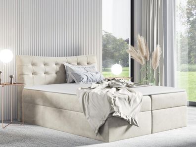 Boxspringbett Grayson Modern Doppelbett mit zwei Bettkästen Design Schlafzimmer