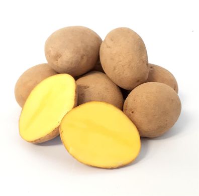 Kartoffel Afra mehlig Deutsche Speisekartoffeln 1-25 KG Ernte 2025