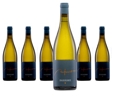 6 x Aufricht Grauburgunder Von Alten Reben trocken – 2024