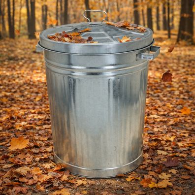 55L Oskartonne Aschetonne mit Deckel Mülltonne Abfalleimer Metalltonne Mülleimer