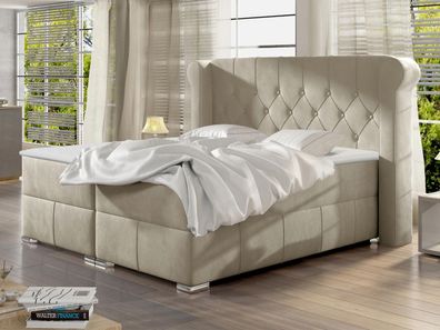 Boxspringbett Massimo Bettgestell Schlafzimmer Bett Doppelbett Kollektion