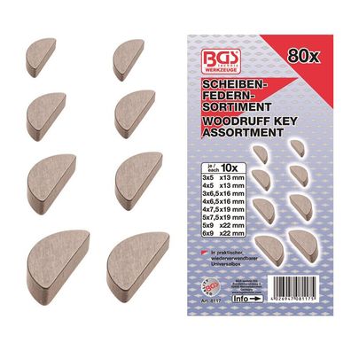 BGS-8117 Federkeile-Sortiment 80-tlg