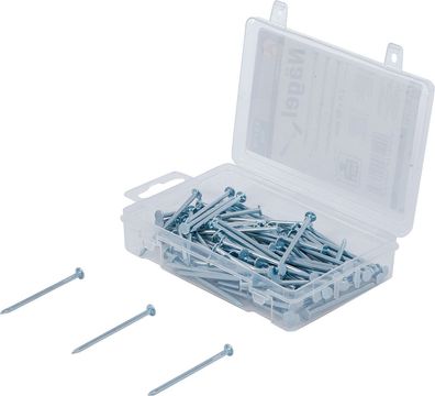 BGS-88116 Nägel-Sortiment 200 g 2,5 x 50 mm