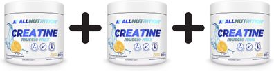 3 x Allnutrition Creatine Muscle Max, Orange - 250g