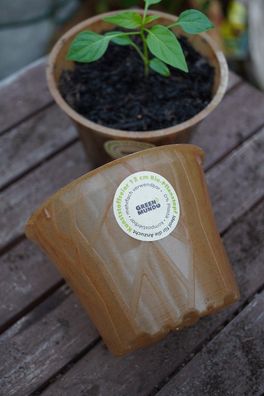 Bio-Pflanztopf - 12cm - plastikfrei