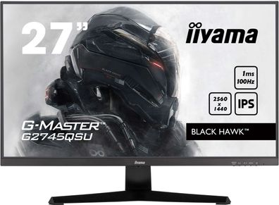 IIYAMA TFT G2745QSU 68.5cm IPS 27/2560x1440/HDMI/DP/2xUSB Hub