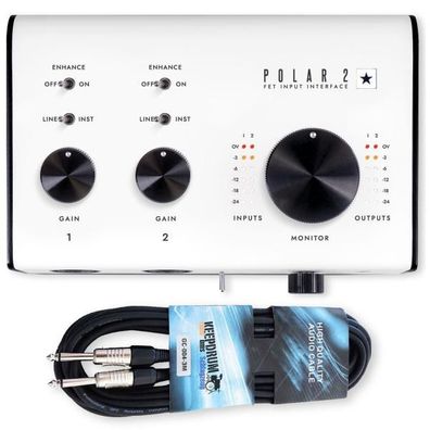 Blackstar Audio-Interface Polar 2 Interface mit Klinkenkabel
