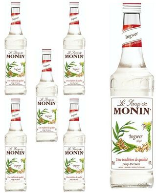 6 Flaschen | MONIN INGWER | 0,7L je Flasche | mit leichter Schärfe