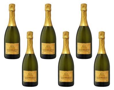 6x Ca' Ernesto Prosecco Valdobbiadene Superiore trocken 0,75 L