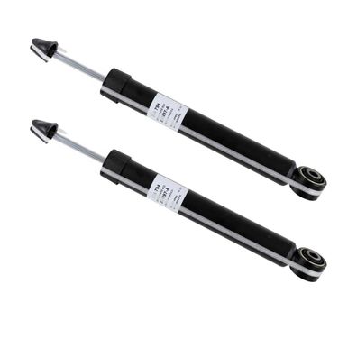 2 Sachs Stoßdämpfer 316 794 Hinterachse für Skoda Superb