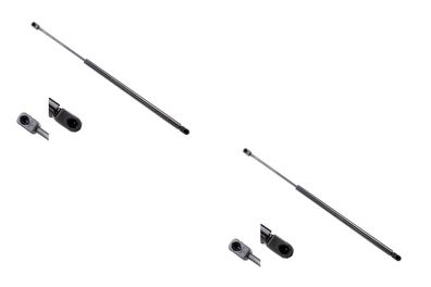 2x Gasfeder Dämpfer passend für Citroen C4 Picasso 10/06-08/13 Kofferraum di