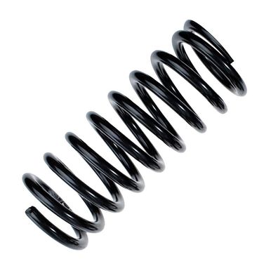 Fahrwerksfeder Hinten R23057 Für BMW X1 33536790132 - 33536790120