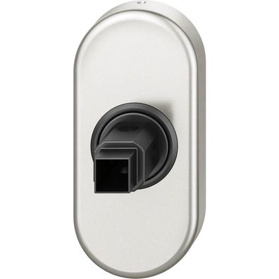 FSB Fenstergriff Adapter-Rosette oval Aluminium silber eloxiert