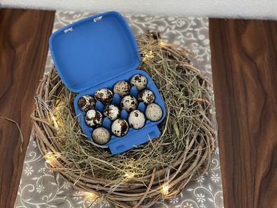 12 Wachteleier ausgeblasen