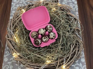 6 Wachteleier ausgeblasen