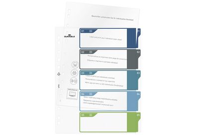 Durable Register 5-teilig DIN A4 666251