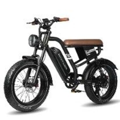 Maxturn MX10 Elektrofahrrad, 250-W-Motor, 48-V-13.5-Ah-Akku, 20-Zoll-Geländereifen
