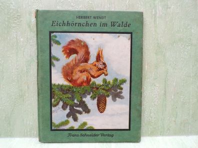 Herbert Wendt Eichhörnchen im Walde Franz Schneider Moritz Pathe FSV
