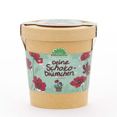 Schokoblumen aus dem Becher â?? Anzuchtset mit Schokoladenblumen-Saatgut, Pflanzbeche