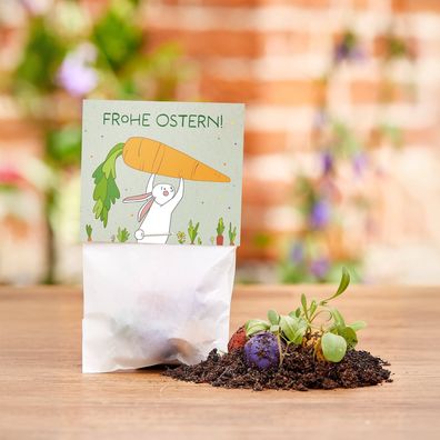 50 Blumenmurmeln im Tétchen Hase mit Möhren â?? Bunte Seedbombs Wildblumen-Saatkugeln