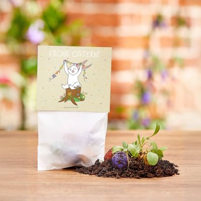 50 Blumenmurmeln im Tétchen Osterhase â?? buntes Ostergeschenk mit Wildblumensamen â?