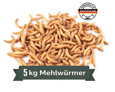 5kg Mehlwürmer lebende aus Deutschland, Angelköder, Lebendfutter, Tiernahrung, Vögel