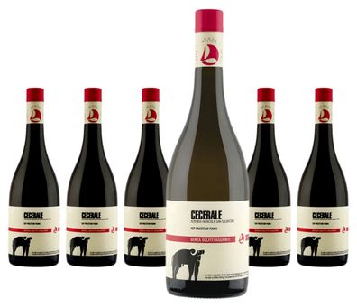 6 x Azienda Agricola San Salvatore Cecerale Fiano – 2024