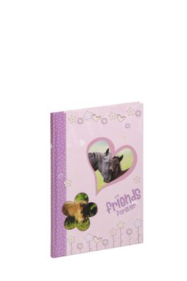 Pagna Freundebuch Fohlen 60S 4009212052728