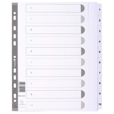 Register A4+ Karton 10tlg 1-10 ws