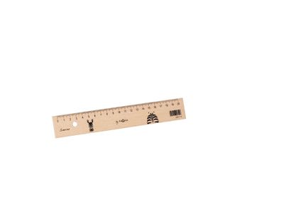 Pagna Lineal Holz 20cm Buche Zebra
