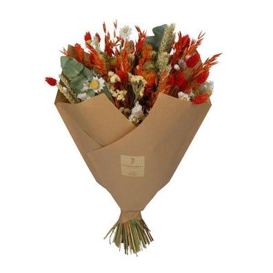 Getrocknete Blumen Klassischer Strauß â?? Orange â?? ca. 60cm â?? Trockenblumen Bouqu