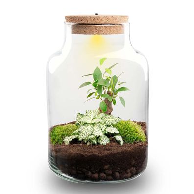 Flaschengarten DIY Bausatz â?? Terrarium Little Milky mit LED-Kork â?? ß17cm x H25cm