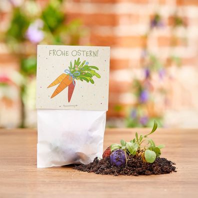 50 Blumenmurmeln im Tétchen â??Möhrenâ?? â?? Bunte Saatkugeln im Osterdesign â?? Nach