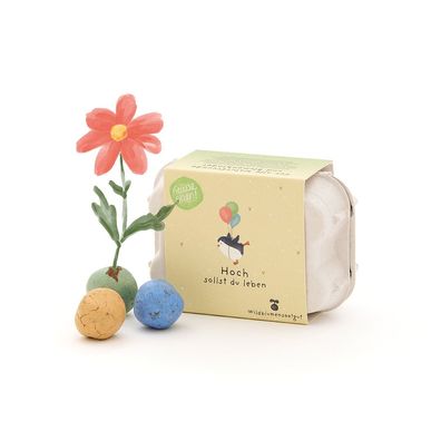 6 bunte Blumenmurmeln im Eierkarton â??Hoch sollst du lebenâ?? â?? Nachhaltiges Gebur