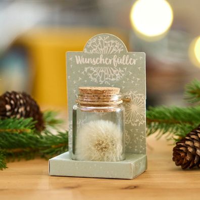 Wunscherféller Pusteblume im Glas â?? Kreatives Geschenk & Geldgeschenk â?? Handgemac