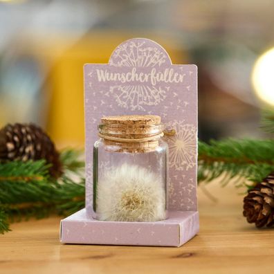 Wunscherféller Pusteblume im Glas â?? Kreatives Geschenk & Geldgeschenk â?? Handgemac