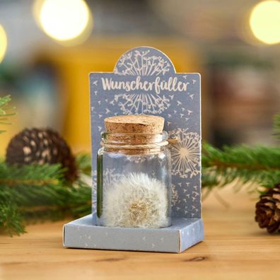 Wunscherféller Pusteblume im Glas â?? Kreatives Geschenk & Geldgeschenk â?? Handgemac