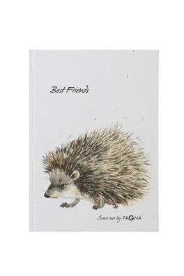 Pagna Freundebuch Igel 60S 4009212060532