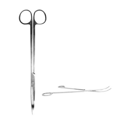 Lange Terrarienschere â?? Edelstahl â?? 25cm â?? Präzisionsschere mit gebogener Kling