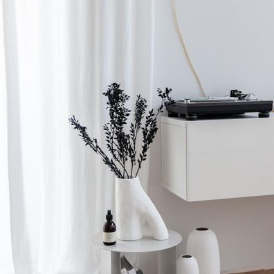 Ruscus konserviert â?? Mäusedorn Trockenblumen â?? 1â??5 Stiele (60â??75cm) â?? Konse